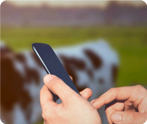 Smart Farm ชวนหยิบสมาร์ทโฟนเดินเข้าฟาร์ม ทำความรู้จักกับผู้ช่วยยุคใหม่
